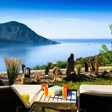 Regency 4*