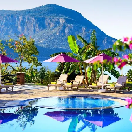 Gæstehus Regency 4*