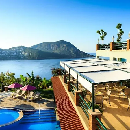 Отель Regency 4*